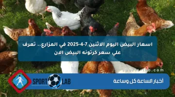 أسعار البيض اليوم الاثنين 7-4-2025 في المزارع.. تعرف على سعر كرتونة البيض الآن